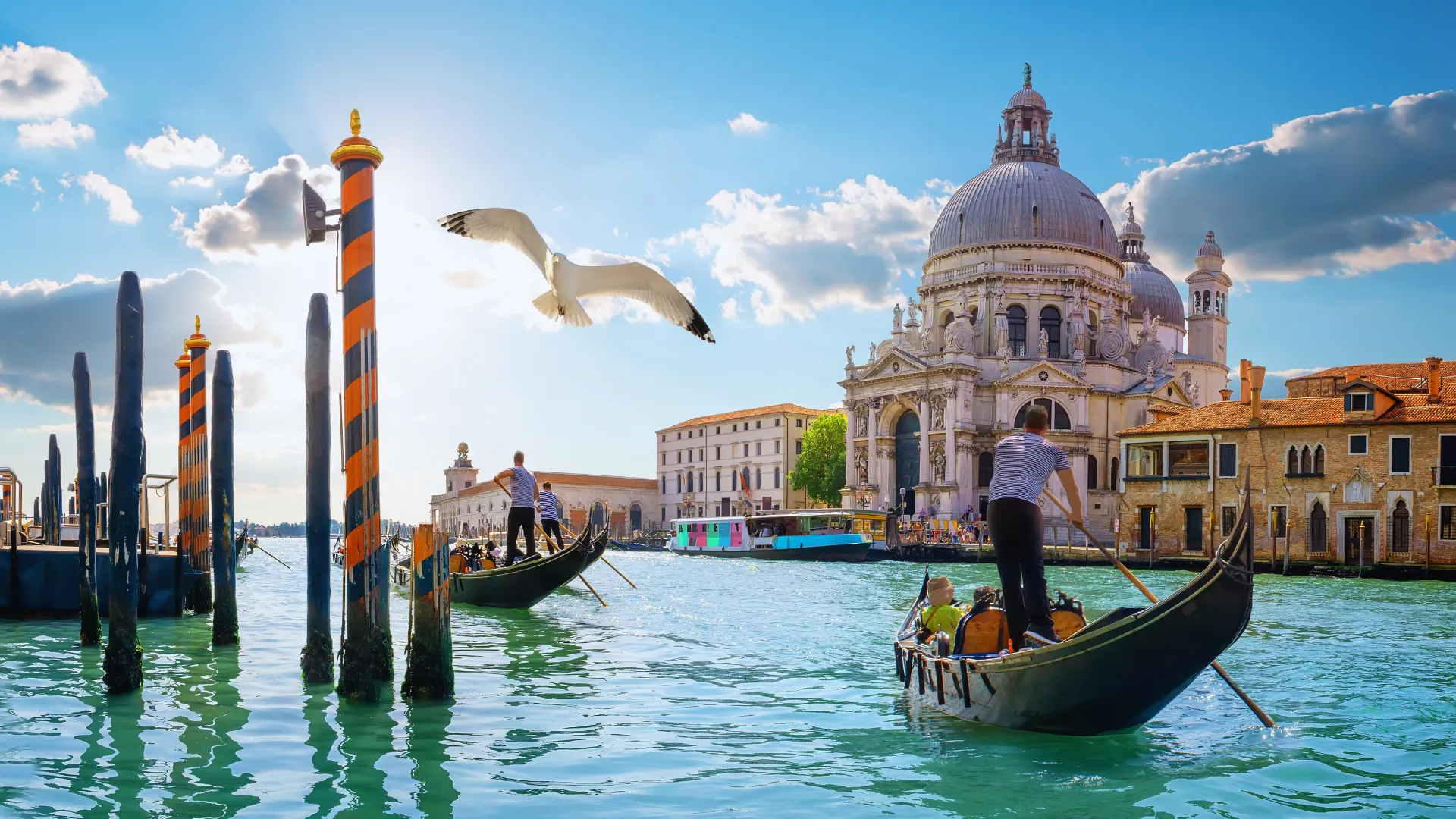 Venice